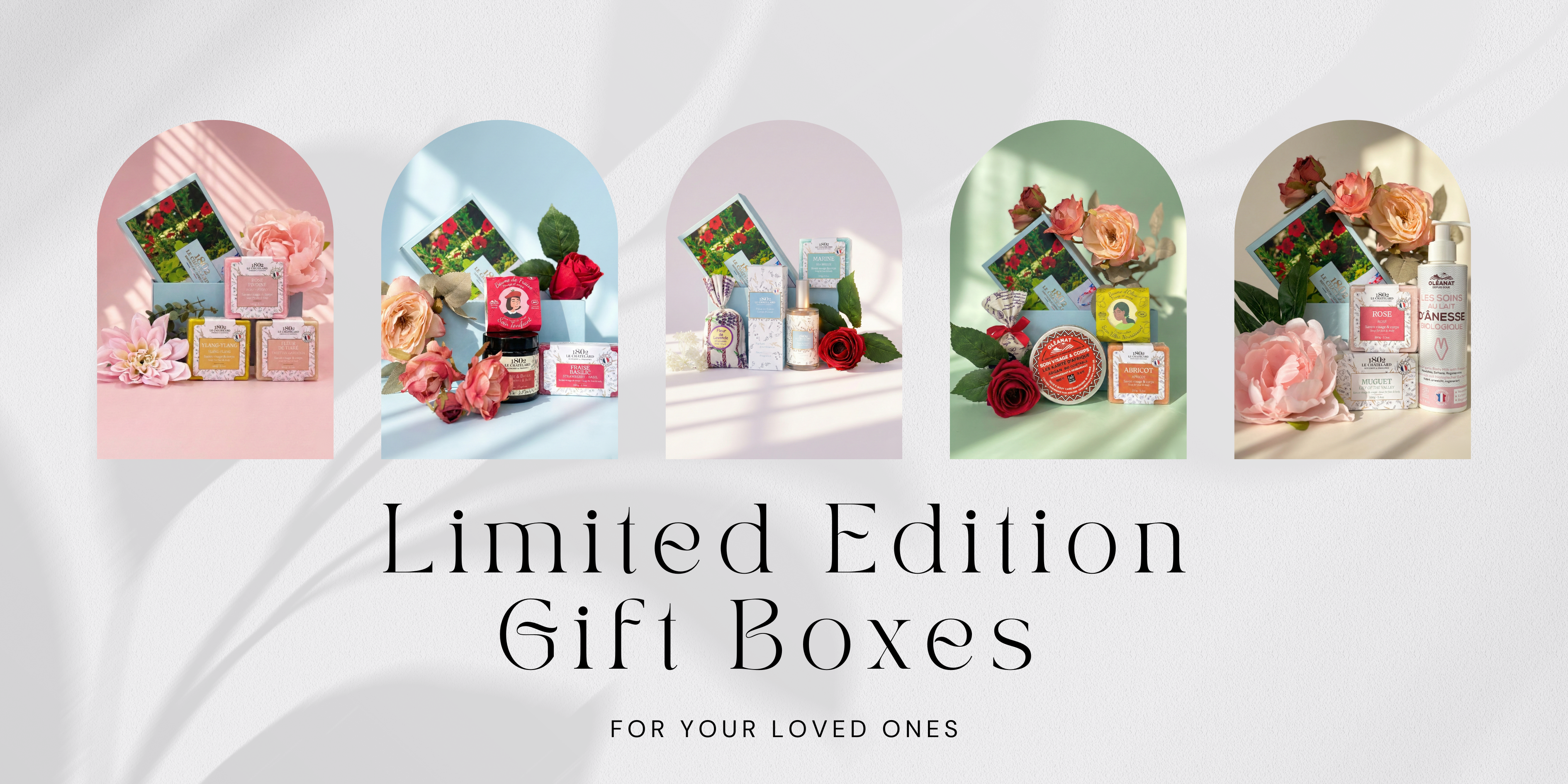 Explore Our Collections