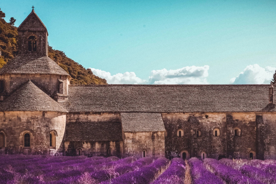 collection-banner-image